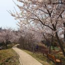 돌산공원길 이미지