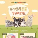 유기코리아 이미지