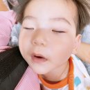 경대연합의원 이미지