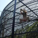 달성공원로 이미지