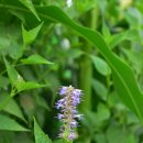 대안마을 이미지