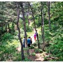 이월초등학교 이미지