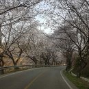 백전농장 이미지