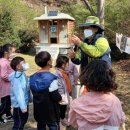 비봉초교 병설유치원 이미지