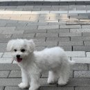 메이그루밍 이미지