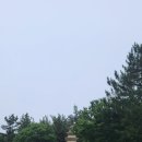 다산나정 | 2. 천년도시를 걷다. 경주(慶州)