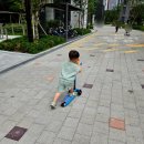 이지이샵 | 유아 킥보드 추천 마이크로킥보드 맥시T 디럭스 LED