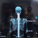 뉴바디체형관리센터