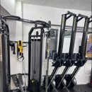 짐피닉스 이미지