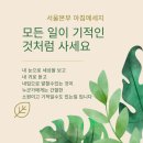 포유라인 인셀덤