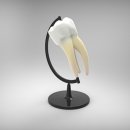 본아이성형외과의원 이미지