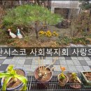 프란치스코사회복지회 사랑의집 네이버블로그
