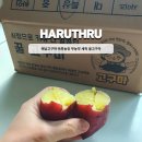 꿀산농장 | 해남고구마 하루농장 무농약 세척 꿀고구마 맛있게 먹기