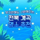 보기만해도 시원해지는 전북특별자치도 계곡 명소 소개 + 제12회 무주산골영화제 간단 후기