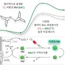 환원 이미지