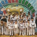 용인대 대호 태권도 이미지