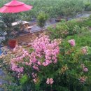 김종수농장 이미지