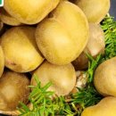 택배농장 이미지