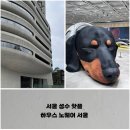 경수중학교 | 서울 성수 핫플, 젠틀몬스터 탬버린즈 닥스훈트 어티슈 누플랏까지 하우스 노웨어 층별 관람 후기