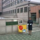 중흥초교 Daum카페