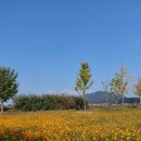 여주-1011 이미지