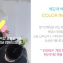 컬러인웨딩 이미지