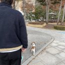미지 펫살롱 | 소노펫 홍천 🐶