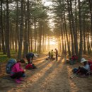제주 올레길 8코스 | 제주 올레길 8코스 여행 완주기! 바다와 숲을 잇는 힐링 트레킹