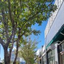 이지더원1차 앞 이미지