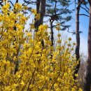 김범준트레이닝센터 | &lt;2025년 3월결산&gt;