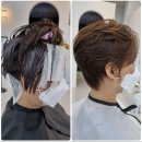 헤어당 이미지