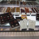 코코브루니 이미지