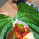 쨍하고회뜰날 이미지