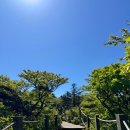 초보자도 도전할 수 있는 절경 산행 한라산 영실코스 등반 후기