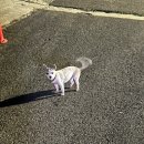 목화빵집 이미지