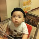 시우시우 이미지