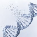 좋아요를 부르는 인스타그램 사용법 이미지