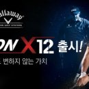 영 스크린골프 이미지