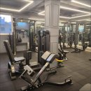 팀엑스핏고척 이미지