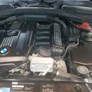 SHARK MOTOR OIL 이미지
