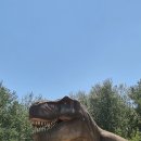 신음초등학교 이미지