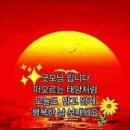 꽃한송이