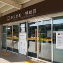 공주밤나무 이미지