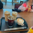 몰리힐스(MOLLI HILLS) 이미지