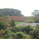 논골농장 이미지