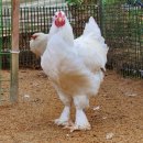 찬구농장 이미지