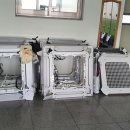 주식회사 참메디칼 네이버블로그