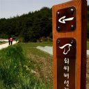 춘양면사무소 이미지