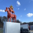 피터팬승마캠프 이미지