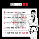 효자태권도 이미지